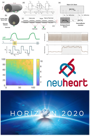 Schematischer Überblick neuro-kardiovaskulärer Modelle und Präsentation ausgewählter Simulationsergebnisse